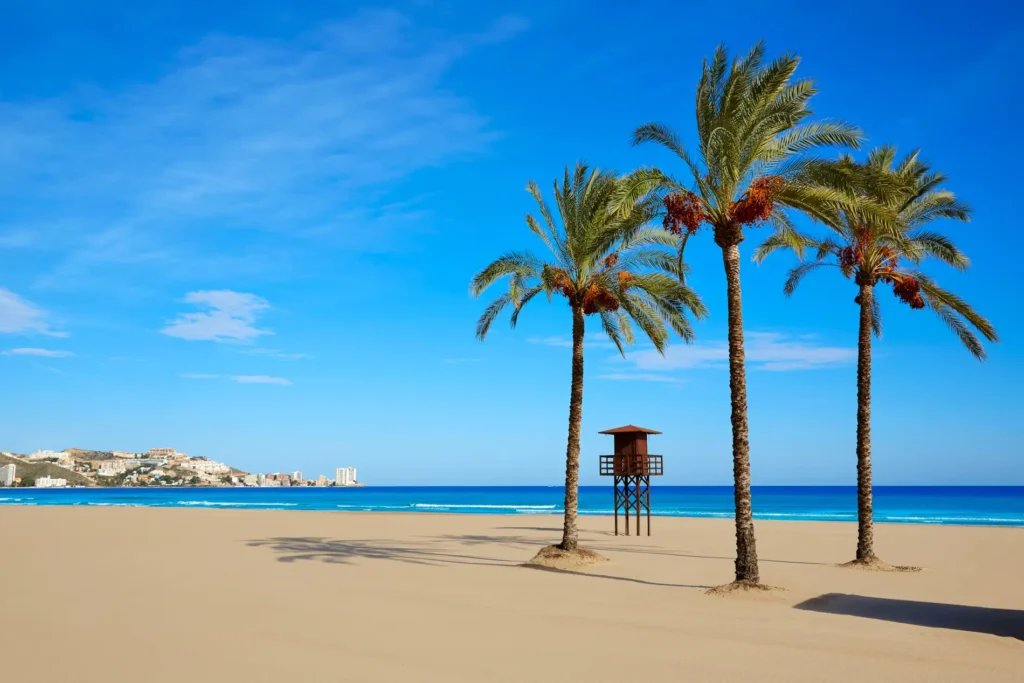 Playas de Valencia Playas de Valencia